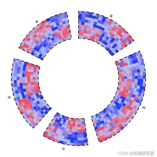 拓端tecdat R语言绘制圈图 环形热图可视化基因组实战 展示基因数据比较